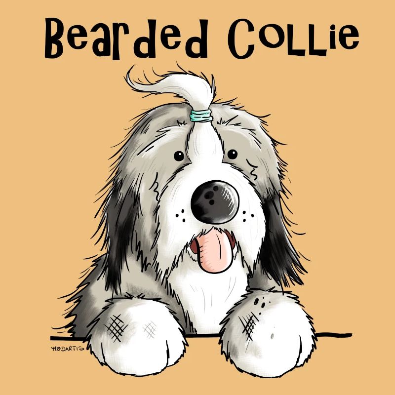 Mignon Bearded Collie