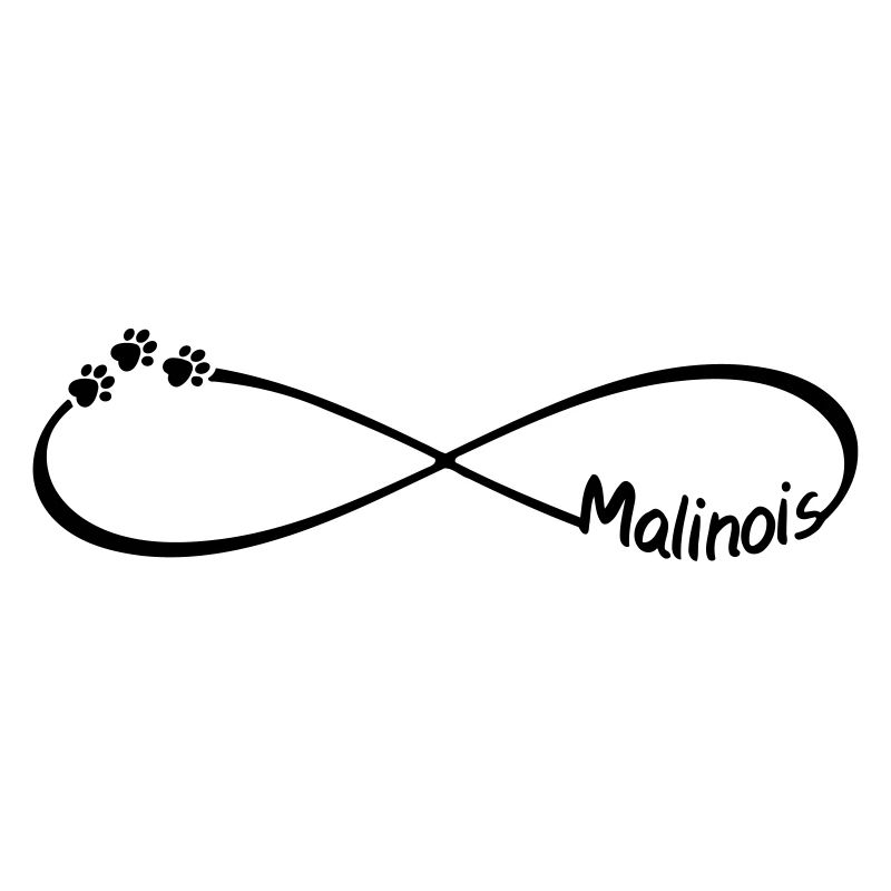 Malinois chiens de berger Infinity