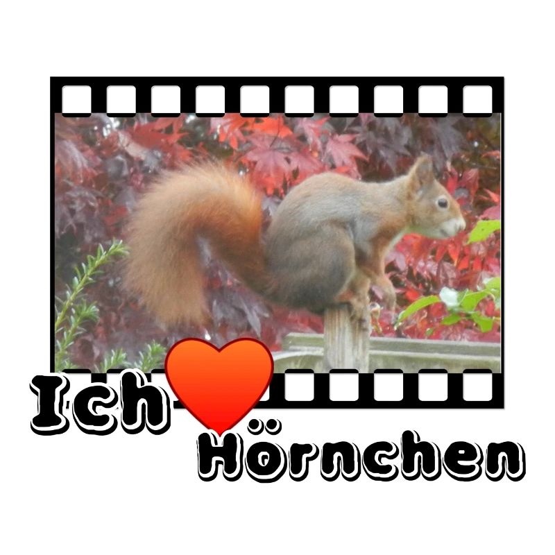 Liebe Tierfreund Eichhoernchen Tiere Spruch