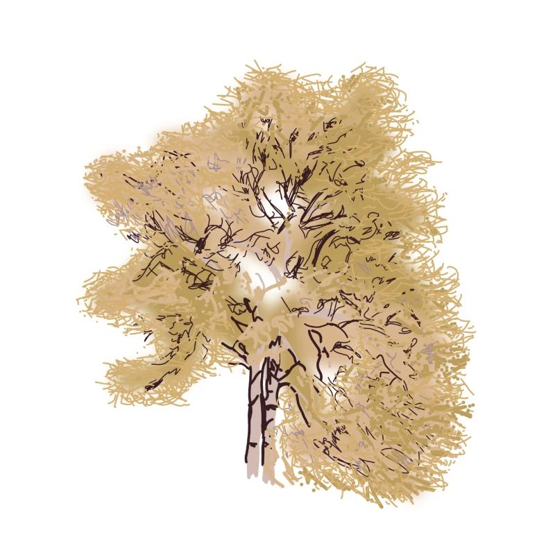 Bartre, naturlig tre, kunst, malt