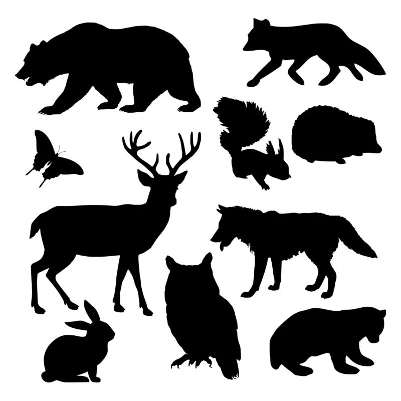 faune
