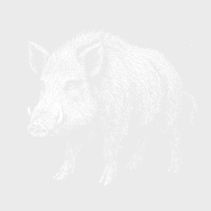 Sanglier