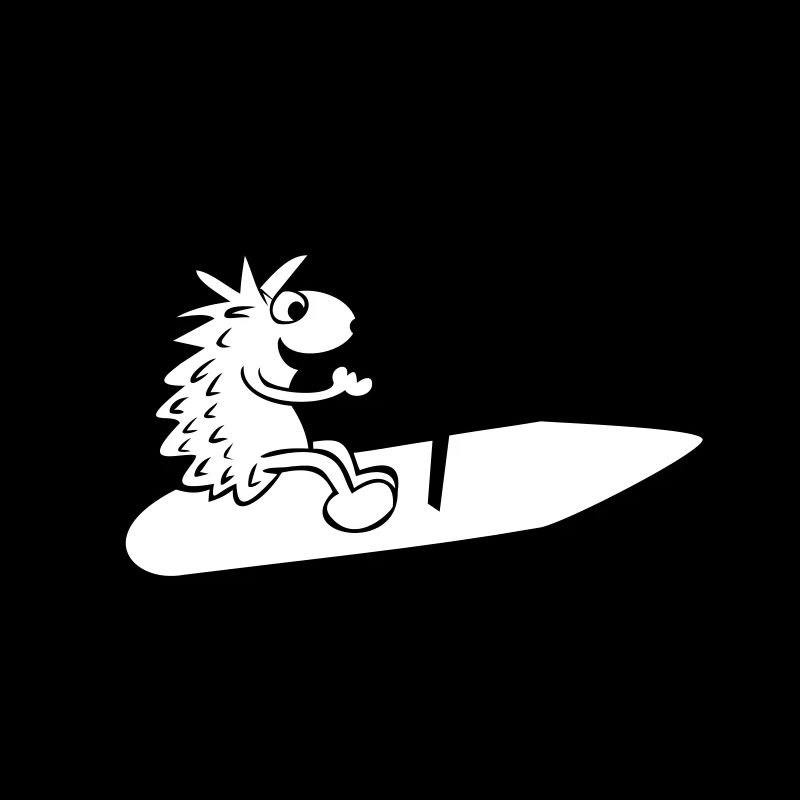 Surf hérisson