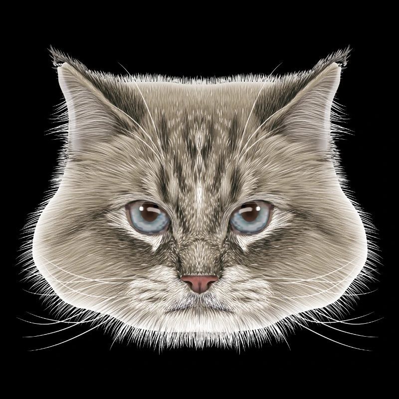 Siberian Cat