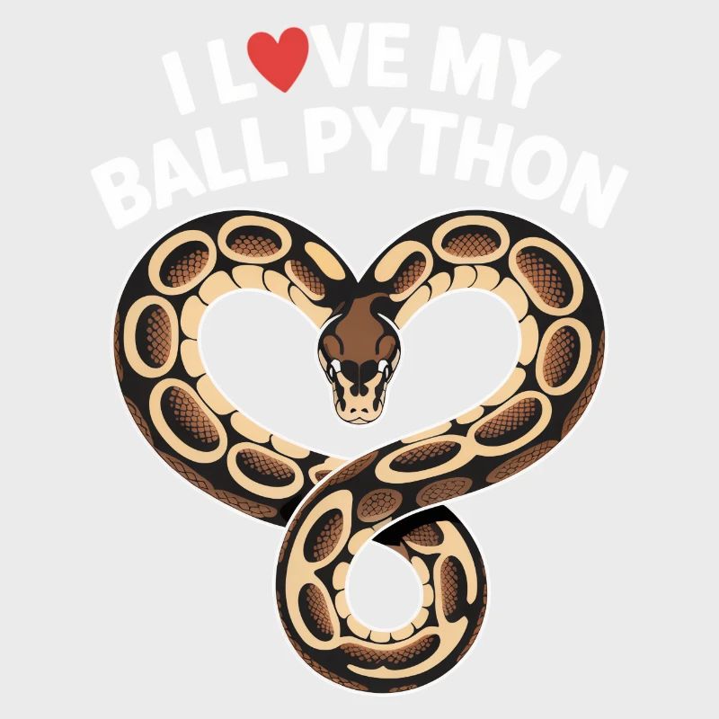 J’adore mon python royal ! Roi python