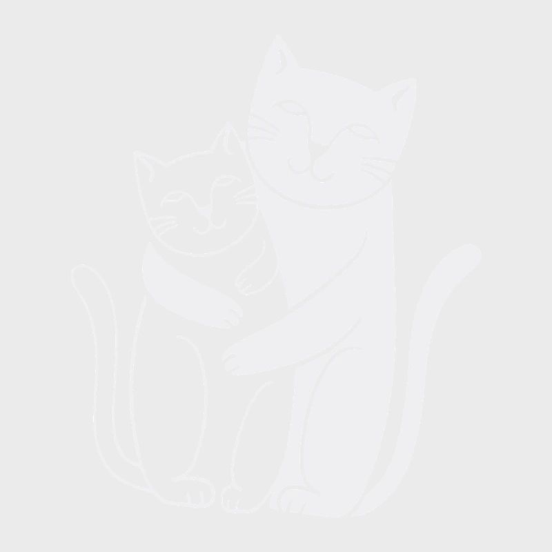 Chat Blanc & chat noir