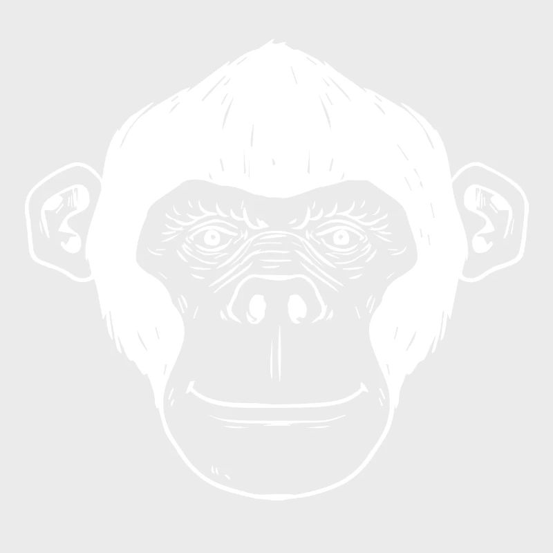 Monkey chimpanzee monkey face gift monkey