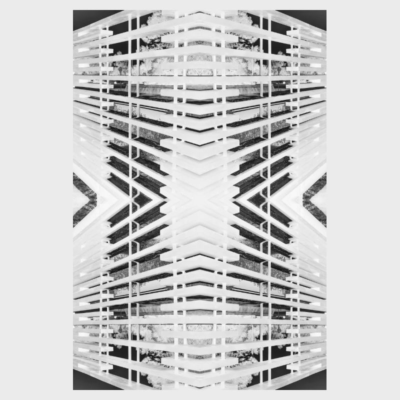 Bois abstrait V.2