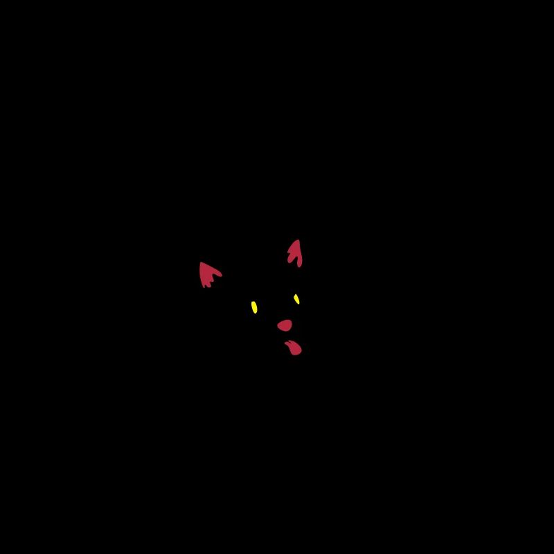 chat noir rebel !