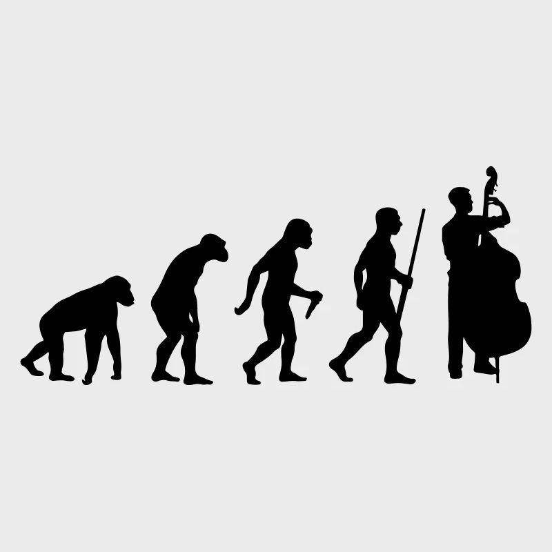 Évolution de la contrebasse