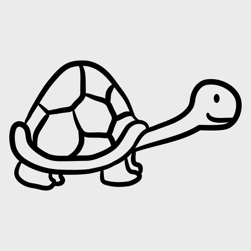Small sweet cute turtle
