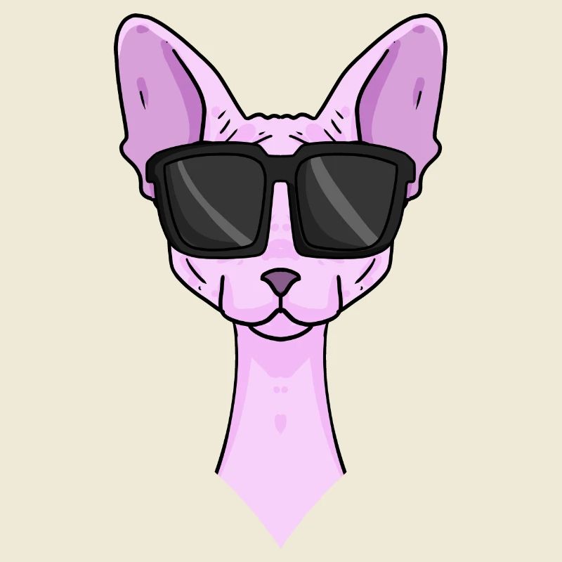 Chat Sphynx avec lunettes de soleil