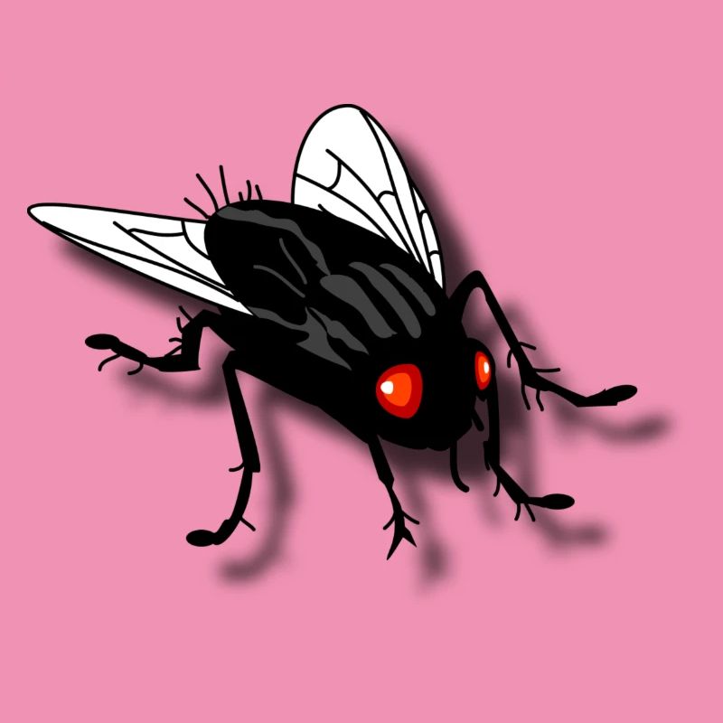 funny fly