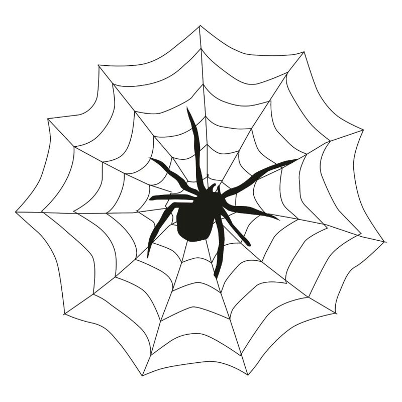 Spider web
