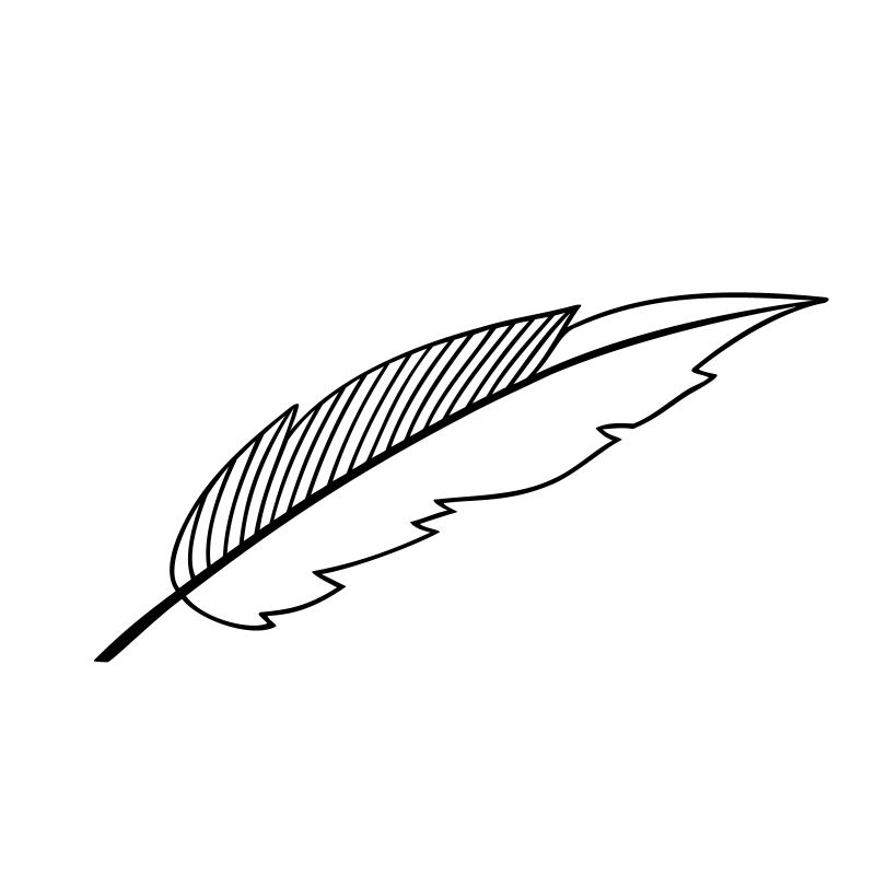 feather