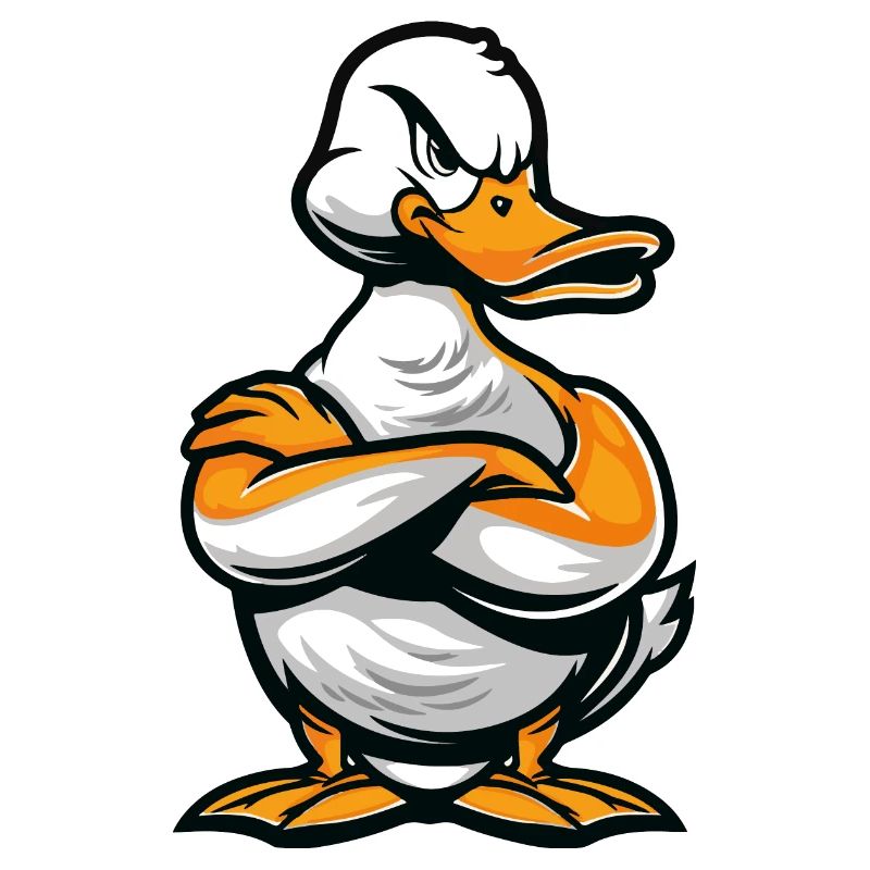 canard
