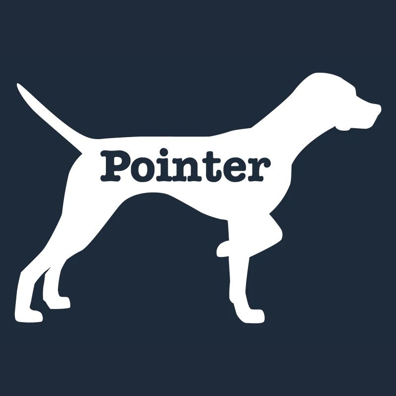 Pointer