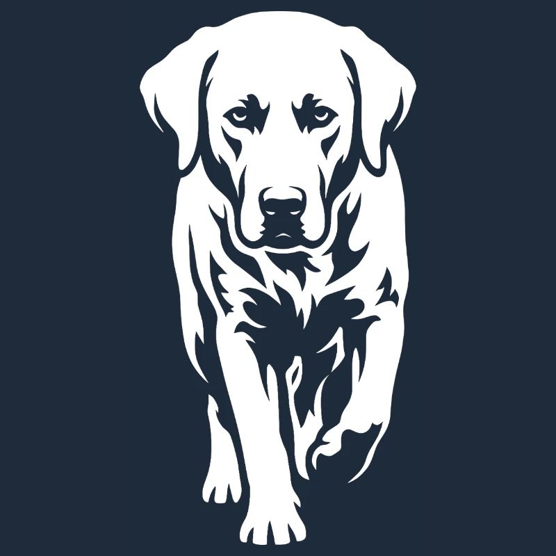 Labrador – Timeless elegance