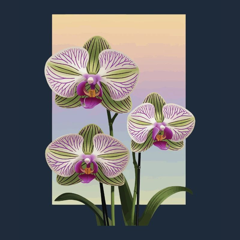 Orchidee