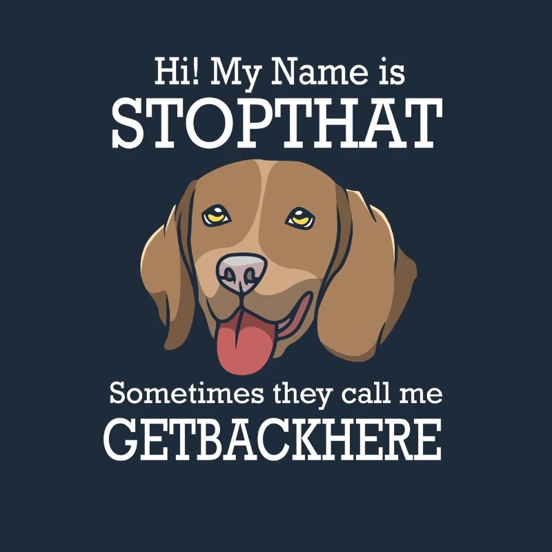 Deutsch Kurzhaar Hund German Pointer