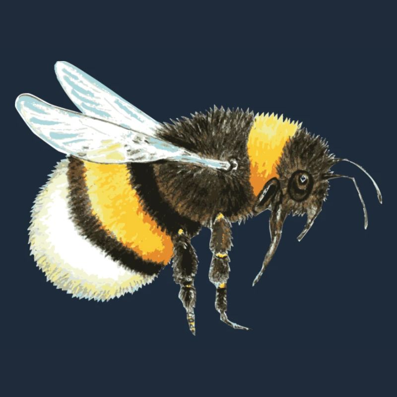 bumblebee