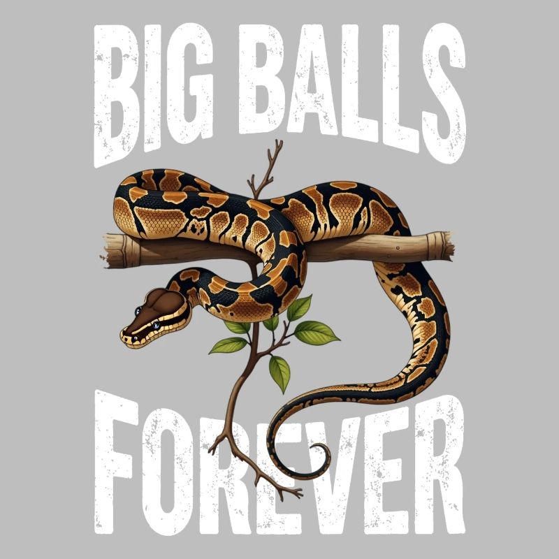 Kongepython Slanger Elsker Terrarium Python