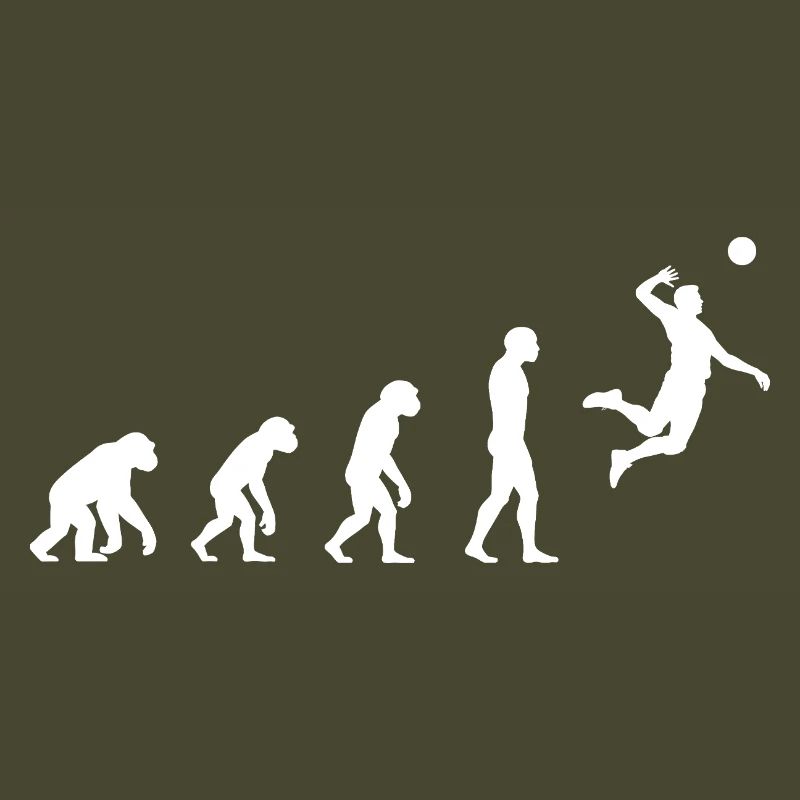 Volley-ball Evolution