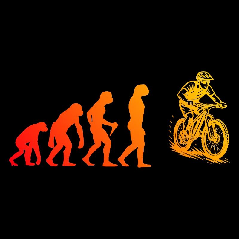 Déclaration directe sur le VTT