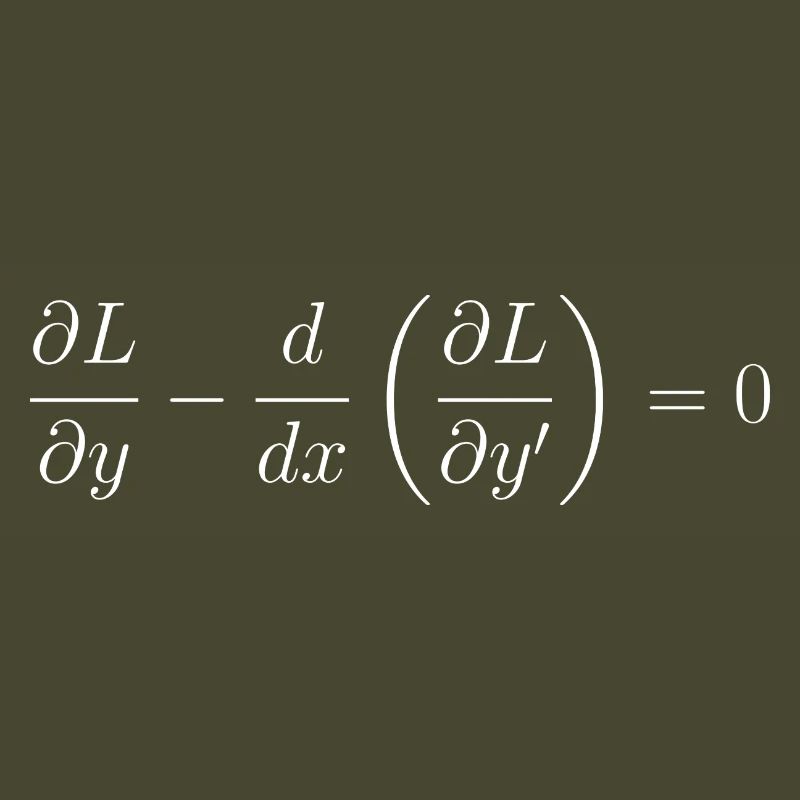 Euler-Lagrange-Gleichungsfundamentalphysik
