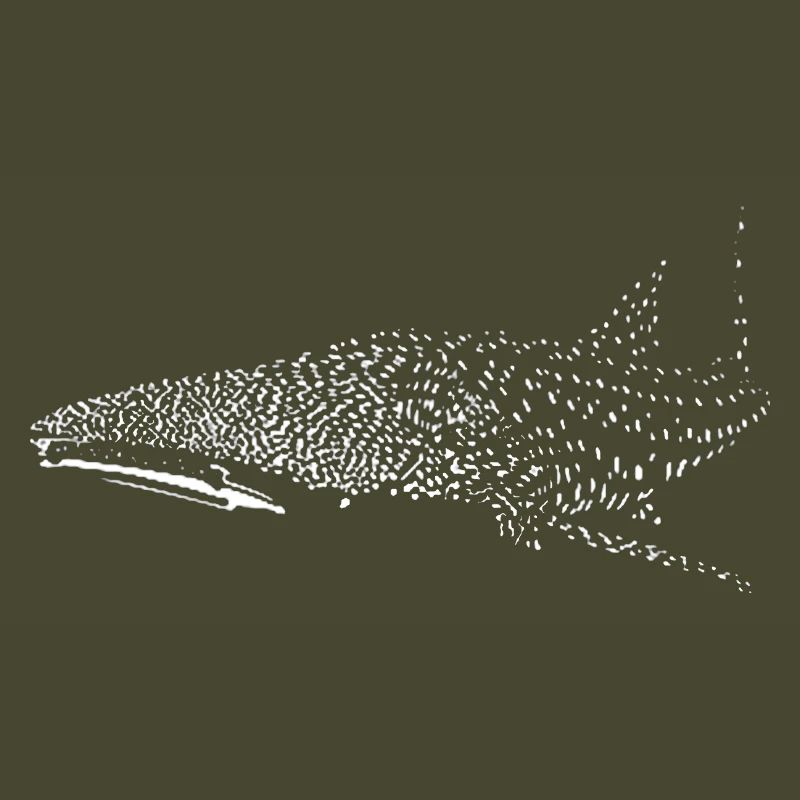 Requin-baleine