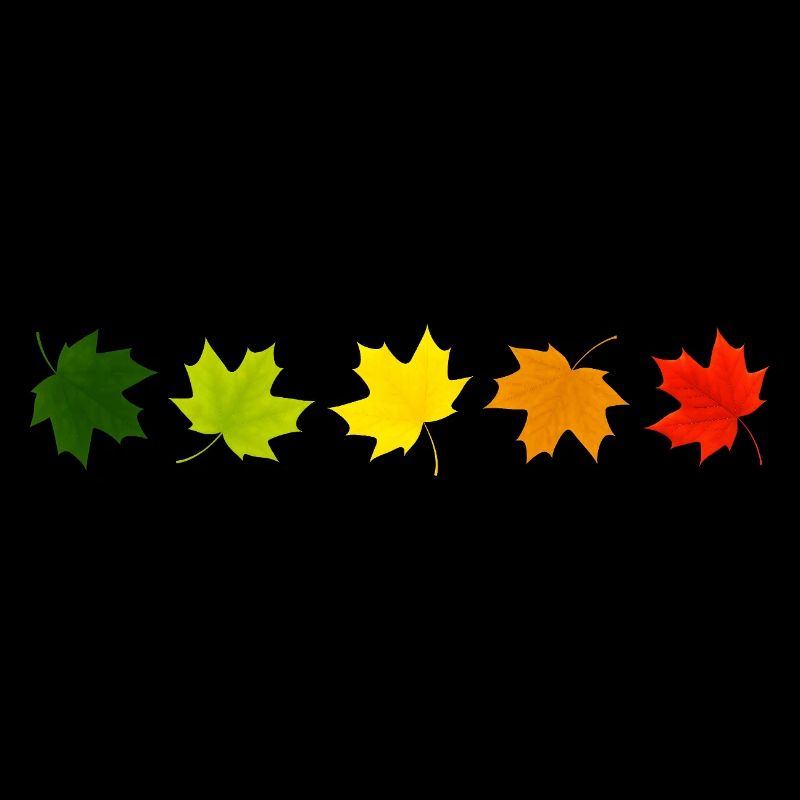 Autumn is here