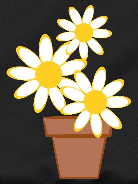 Daisies