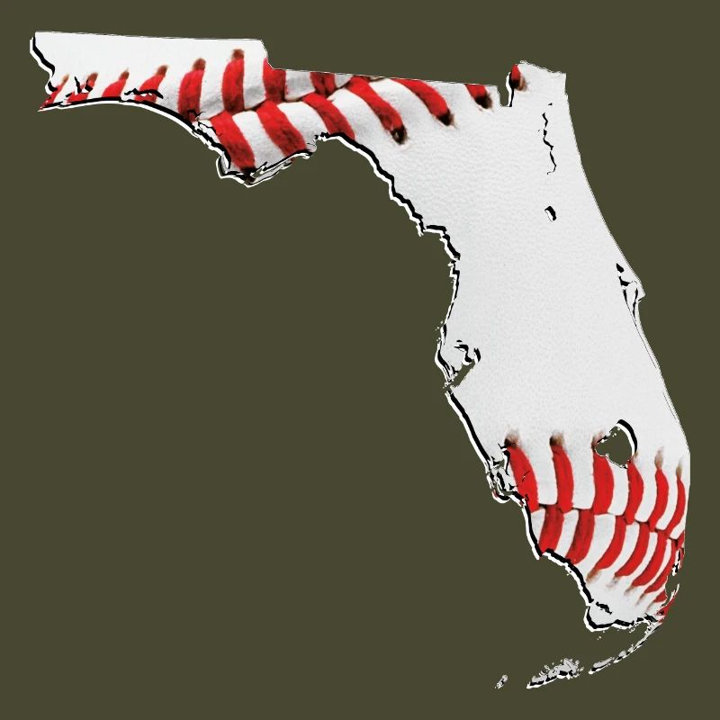 Real Baseball in Florida State Map