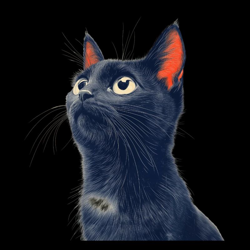 Chat noir mignon