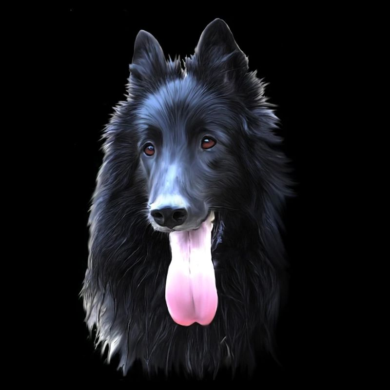 Belgischen Groendal