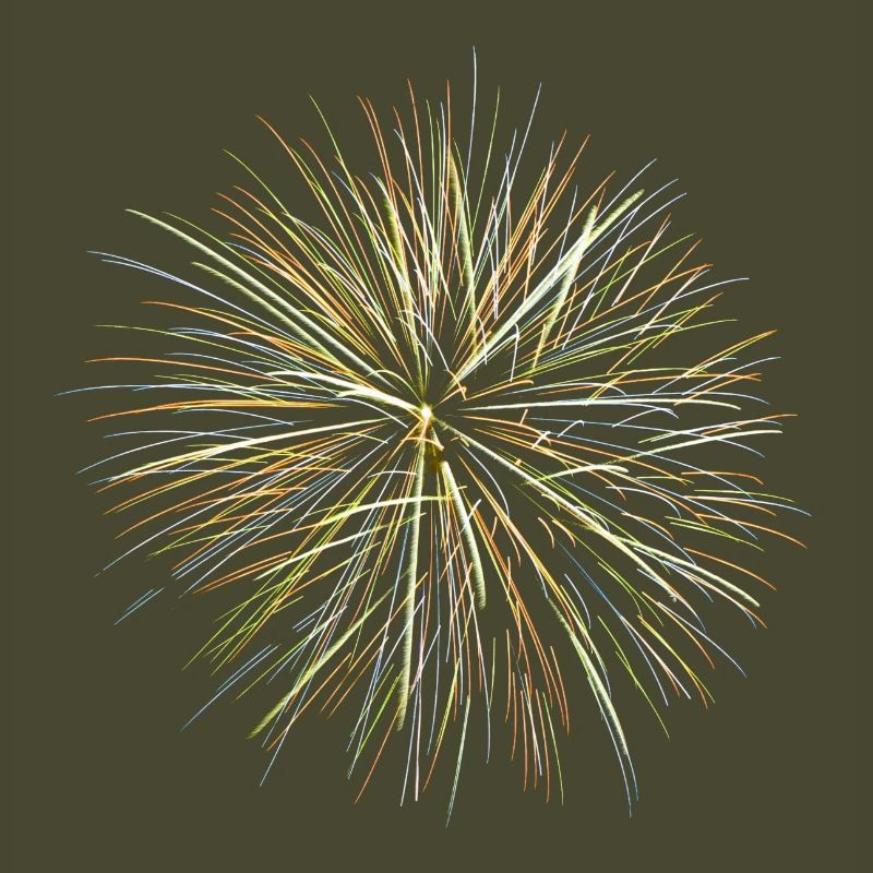 Feu d’artifice - Fireworks (multicolor)