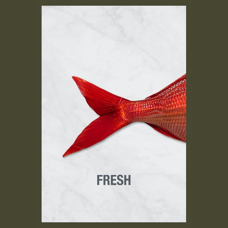 Fresh Fish Minimal Design Modern