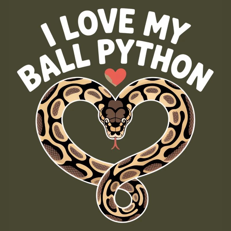 J’adore mon python royal ! Roi python