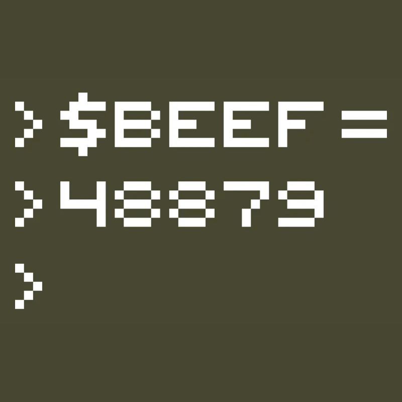 BEEF 8-bit Code Nerd Pixel Terminal Rétro