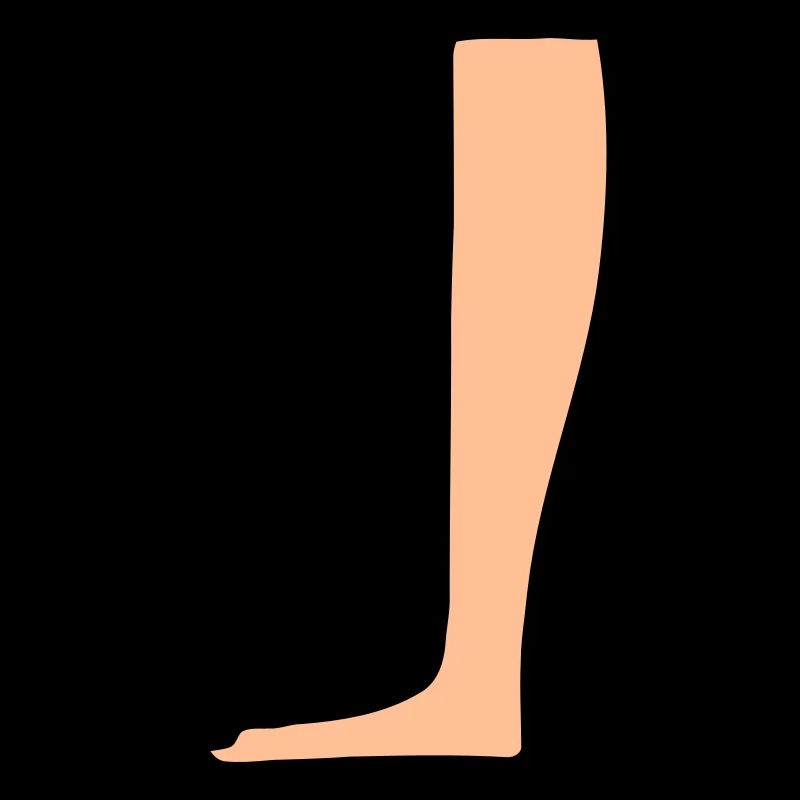 Leg Heiroglyph