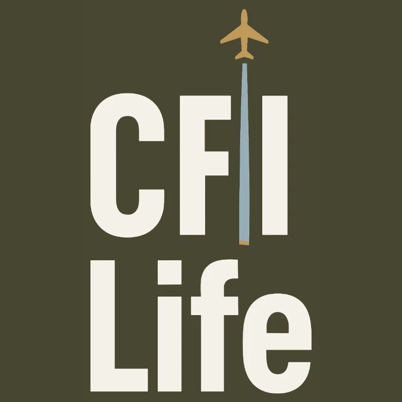 Flight Instructor Cfi Pilot Aviation Instructor