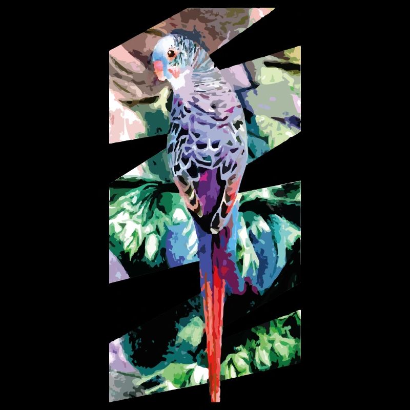 budgerigar