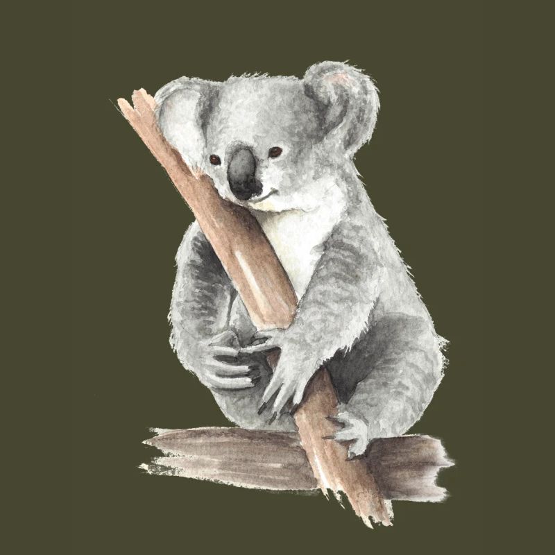 Koala