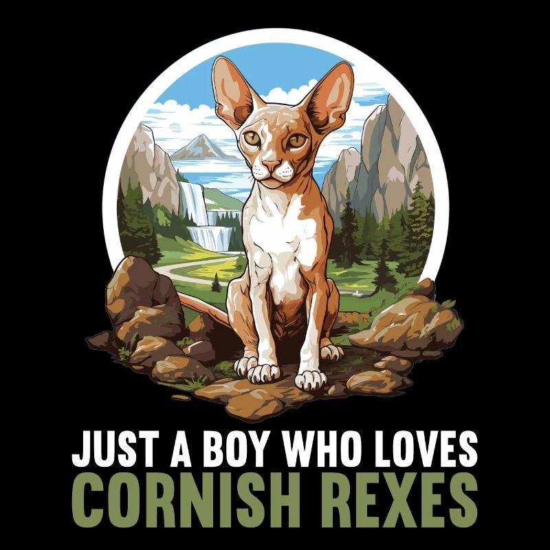 Cornish Rex Kätzchen Cornish Rex Katze