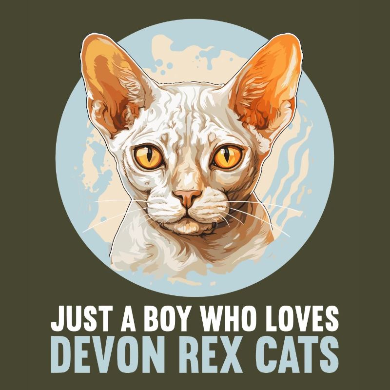 Chaton Devon Rex Chat Devon Rex
