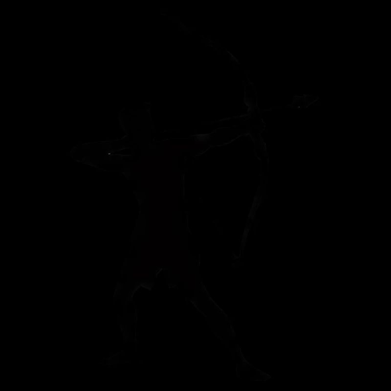 Archer Silhouette, Precise