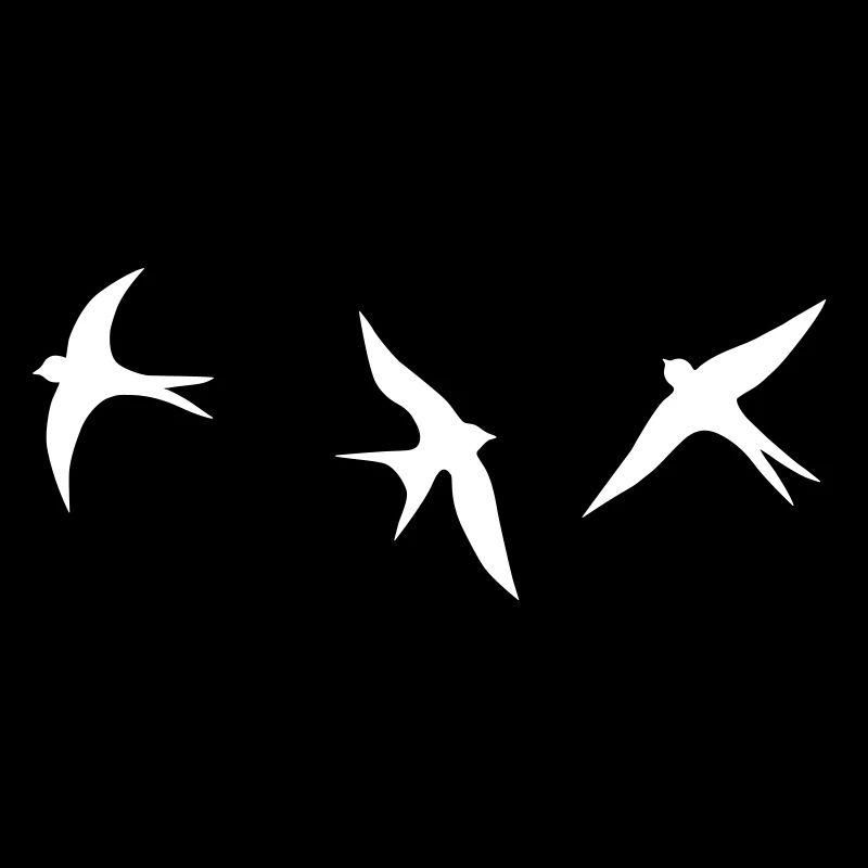 swallow