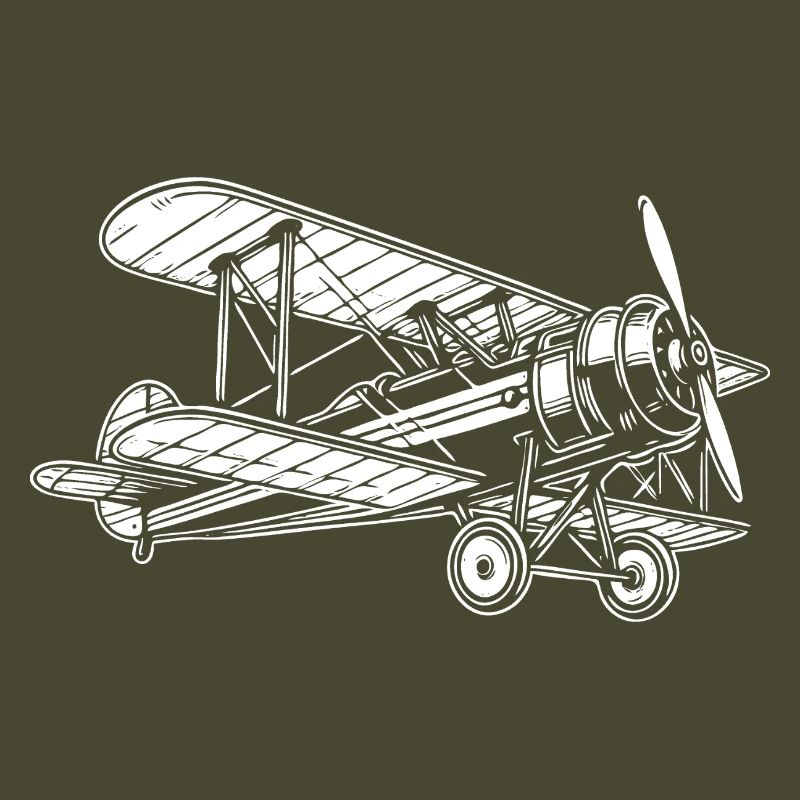 Biplane Oldtimer, conception classique d’avion