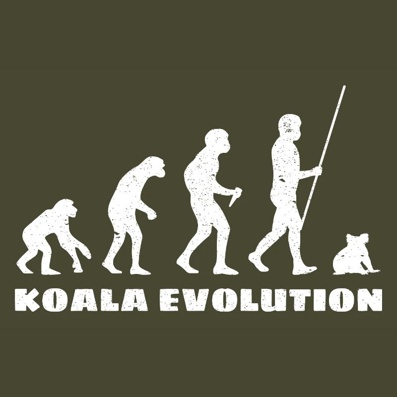 Évolution du koala