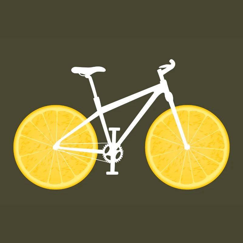 Fruit Bicycle Lemon Lime Orange / Gift
